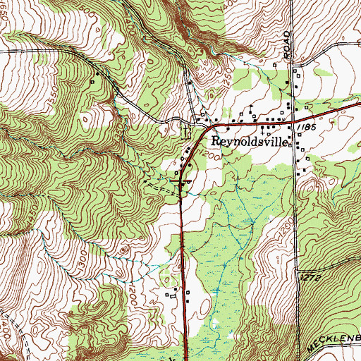 Topographic Map of Hector Town Hall, NY