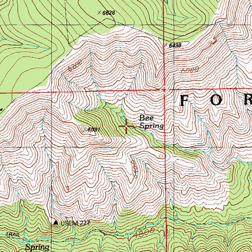 Topographic Map of Bee Spring, AZ