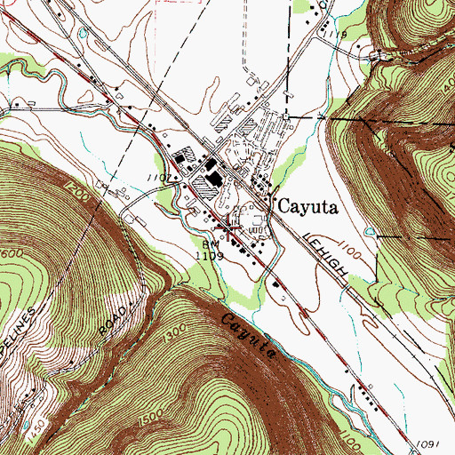 Topographic Map of Cayuta Post Office, NY