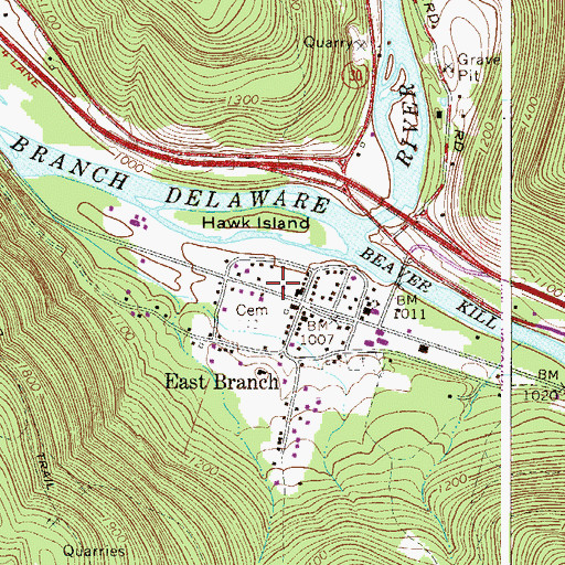 Topographic Map of East Branch Post Office, NY