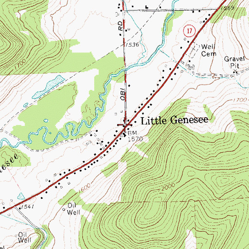 Topographic Map of Little Genesee Post Office, NY