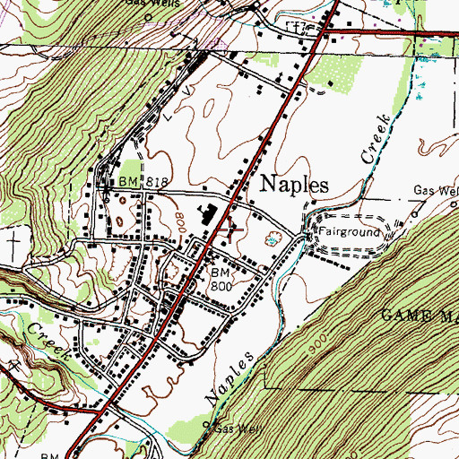 Topographic Map of Naples Post Office, NY