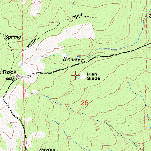Topographic Map of Irish Glade, CA