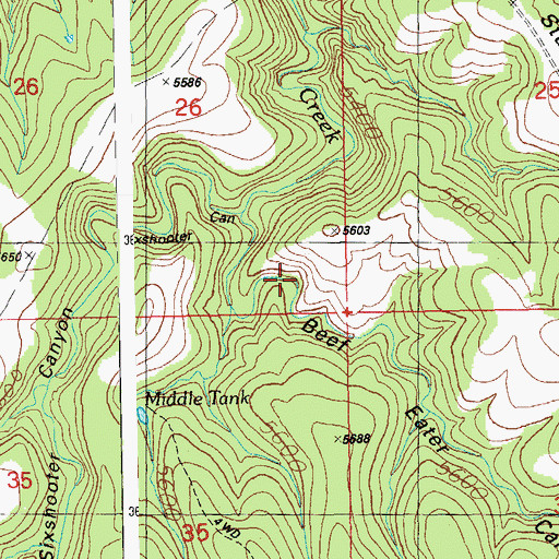 Topographic Map of Beef Eater Canyon, AZ