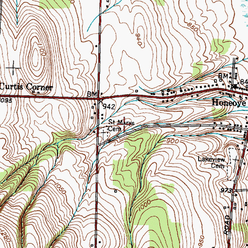Topographic Map of Elderberry Mobile Home Park, NY