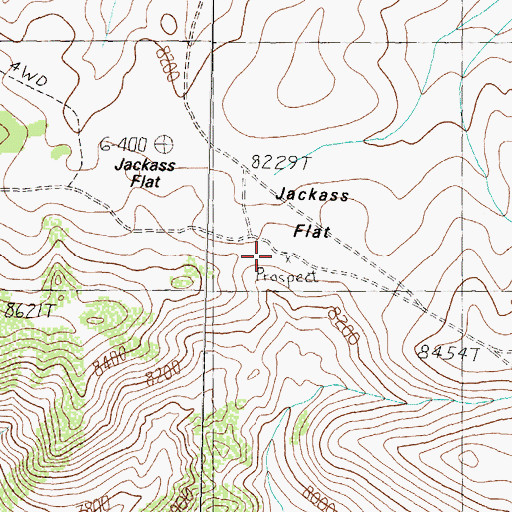 Topographic Map of Jackass Flat, CA
