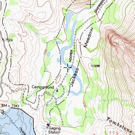 Topographic Map of Jackass Meadow, CA