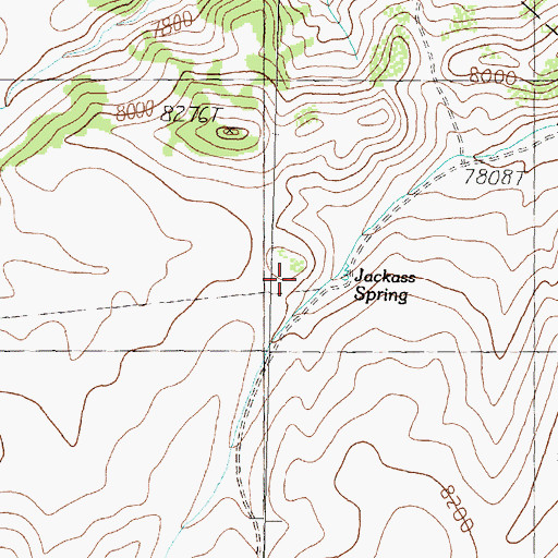 Topographic Map of Jackass Spring, CA