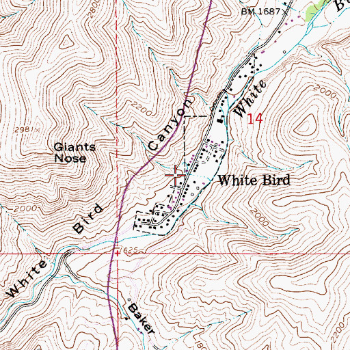 Topographic Map of White Bird Fire Department, ID