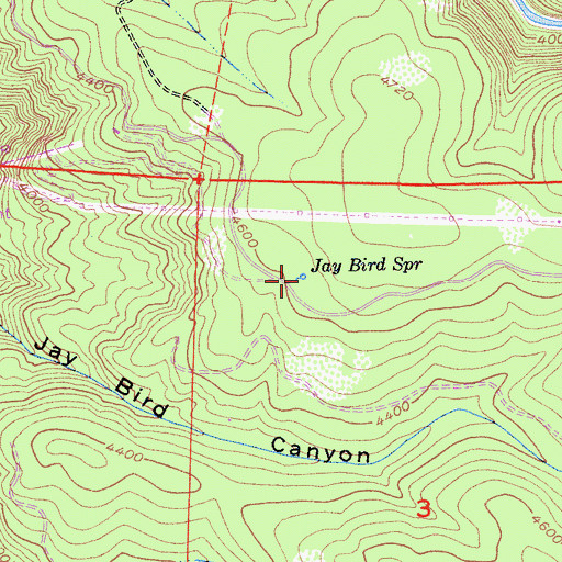 Topographic Map of Jay Bird Spring, CA