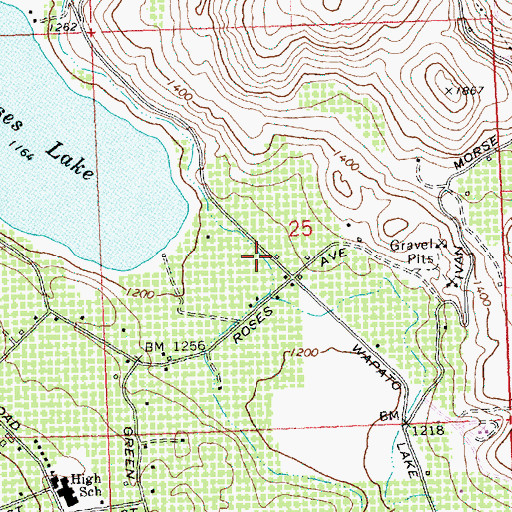 Topographic Map of Chelan County Fire District 5 Station 2, WA