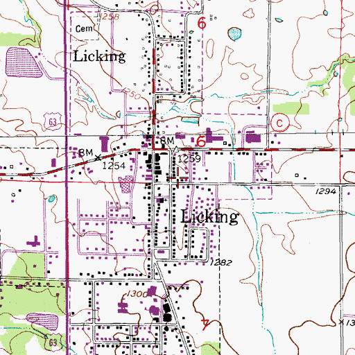 Topographic Map of Licking Volunteer Fire Department, MO