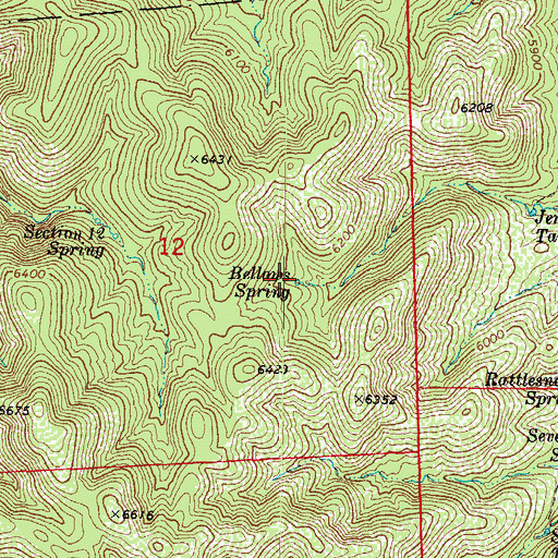 Topographic Map of Bellows Spring, AZ