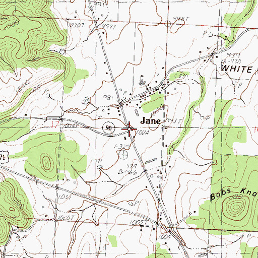 Topographic Map of White Rock Fire Department, MO
