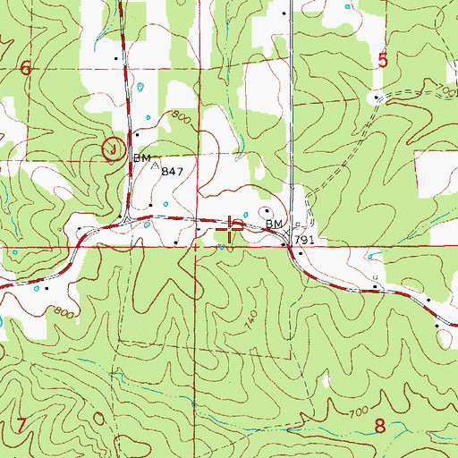 Topographic Map of Pine Bradley Volunteer Fire Department, MO