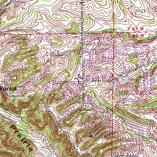 Topographic Map of Rock Community Fire Protection District House 4, MO