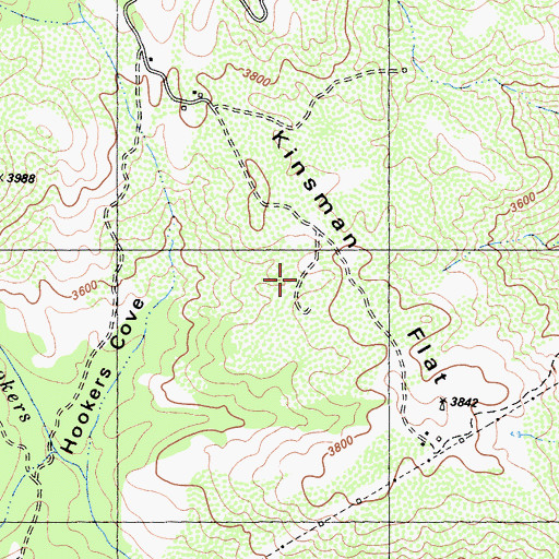 Topographic Map of Kinsman Flat, CA