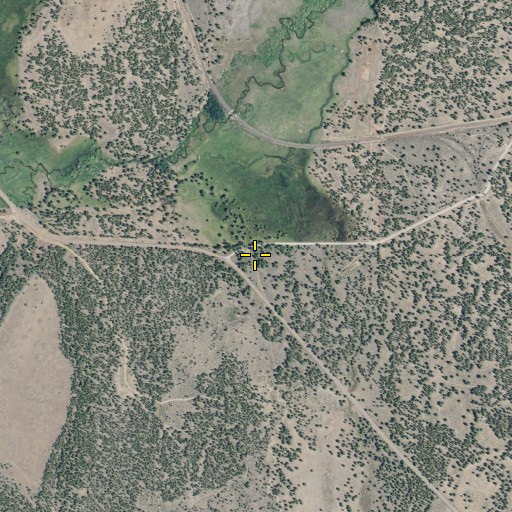 Aerial/Satellite Image of Leaf Camp, CA
