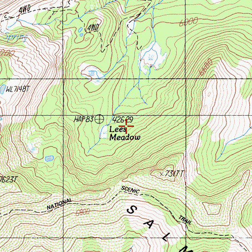 Topographic Map of Lees Meadow, CA