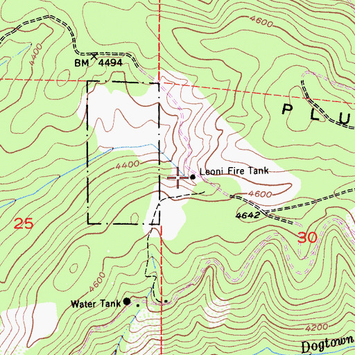 Topographic Map of Leoni Fire Tank, CA