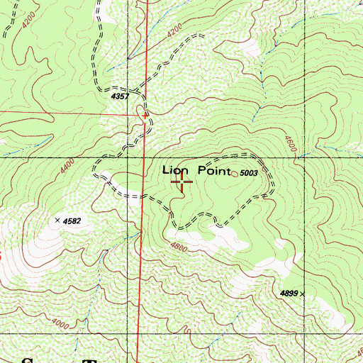 Topographic Map of Lion Point, CA