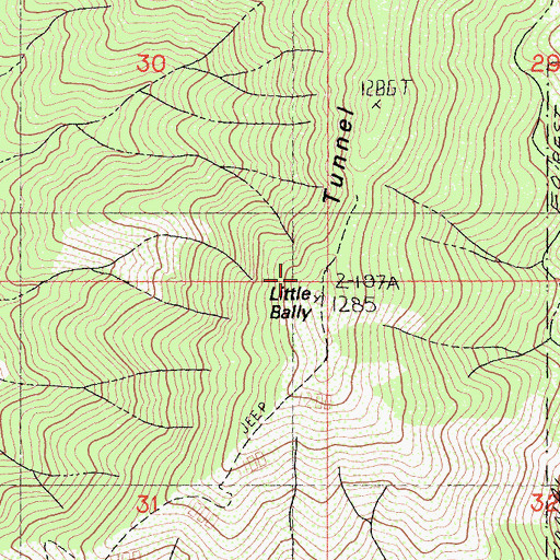 Topographic Map of Little Bally, CA