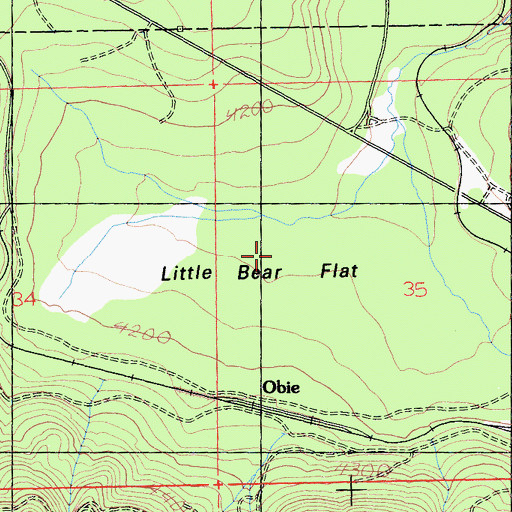 Topographic Map of Little Bear Flat, CA