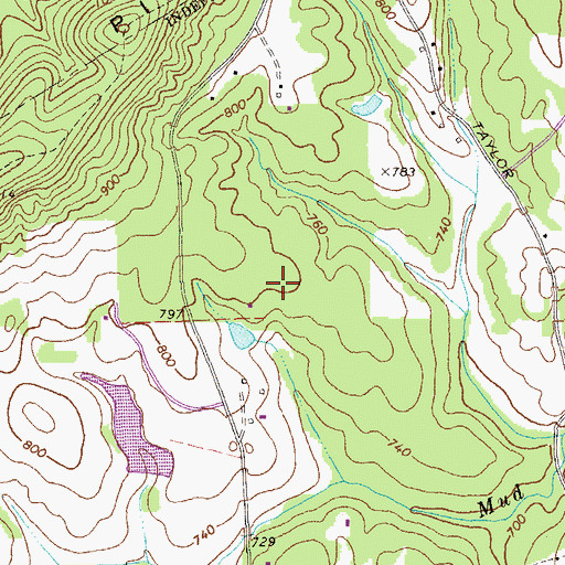 Topographic Map of C & W Air Park, GA