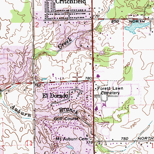 Topographic Map of White River Township Fire Department Station 51, IN