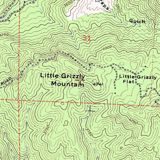 Topographic Map of Little Grizzly Mountain, CA