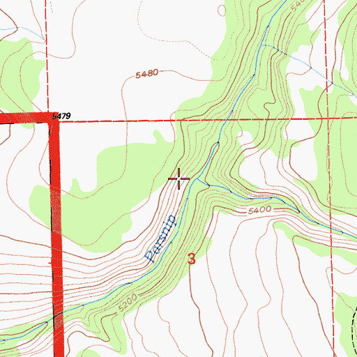 Topographic Map of Little Parsnip Creek, CA