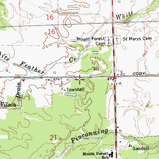 Topographic Map of Mount Forest Township Fire Department Station 23, MI