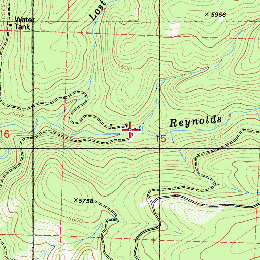 Topographic Map of Little Reynolds Creek, CA