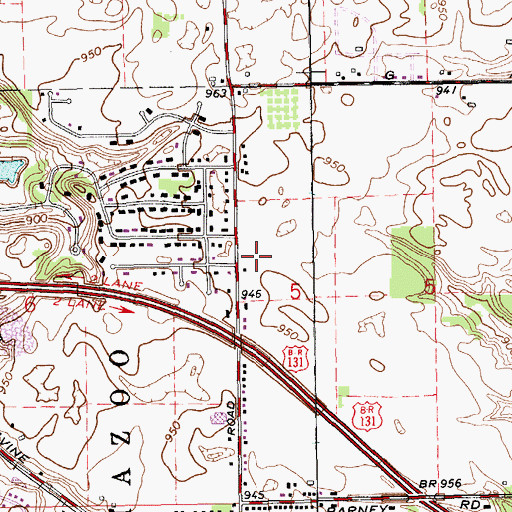 Topographic Map of New Day Church, MI