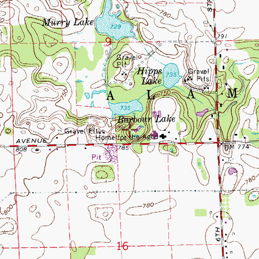 Topographic Map of American Campgrounds, MI