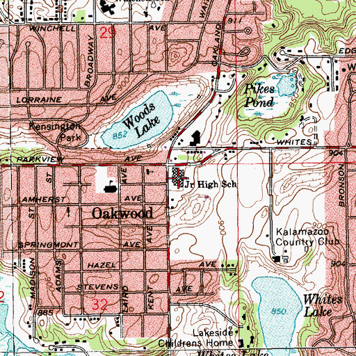 Topographic Map of Woods Lake Elementary, MI
