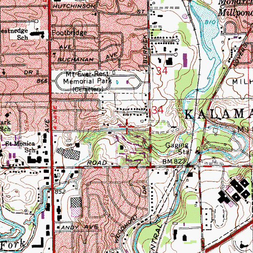 Topographic Map of Netherlands Reformed Congregation, MI