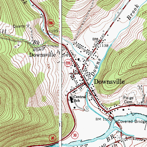 Topographic Map of Downsville Census Designated Place, NY