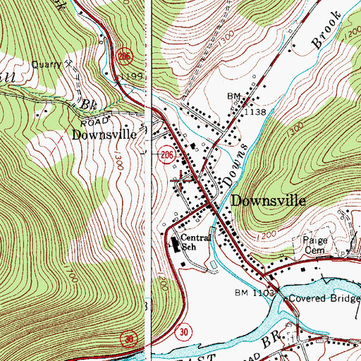 Topographic Map of Downsville Census Designated Place, NY
