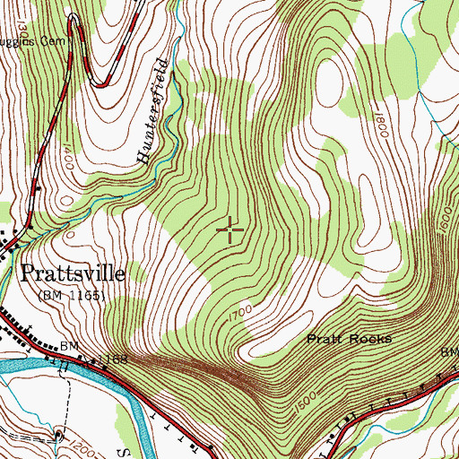 Topographic Map of Prattsville Census Designated Place, NY