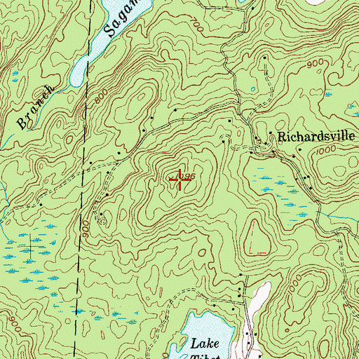 Topographic Map of Dick Hill, NY