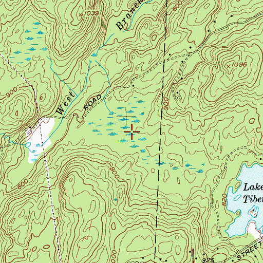 Topographic Map of Black Ash Swamp, NY