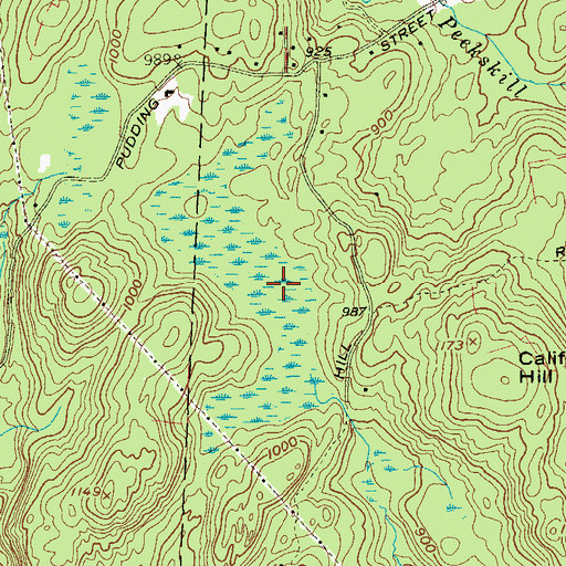 Topographic Map of Cranberry Swamp, NY