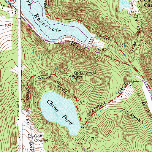 Topographic Map of Kidney Hill, NY
