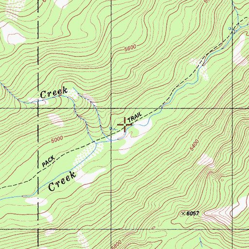 Topographic Map of Long High Creek, CA