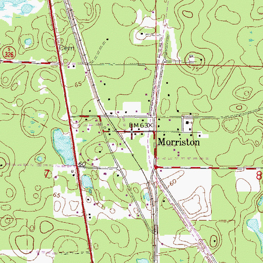 Topographic Map of Morriston Census Designated Place, FL