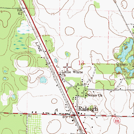 Topographic Map of Raleigh Census Designated Place, FL