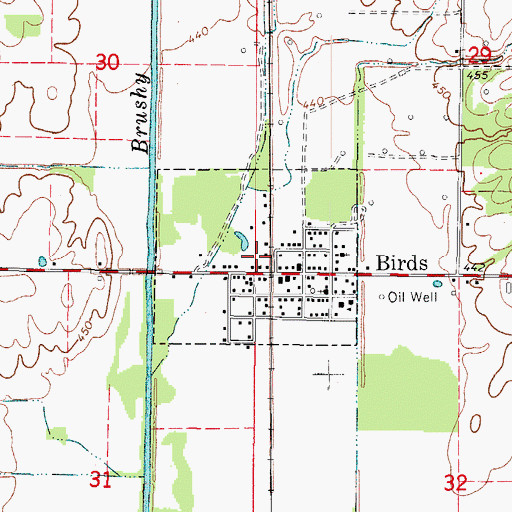 Topographic Map of Birds Census Designated Place, IL