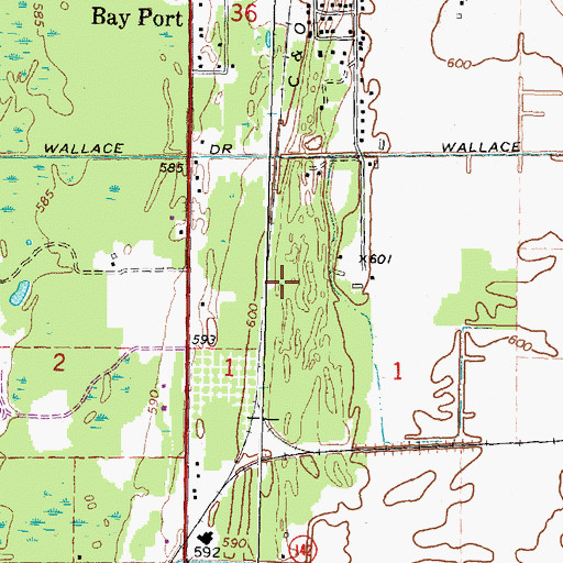 Topographic Map of Bay Port Census Designated Place, MI