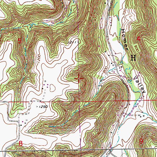 Topographic Map of Homer Census Designated Place, MN
